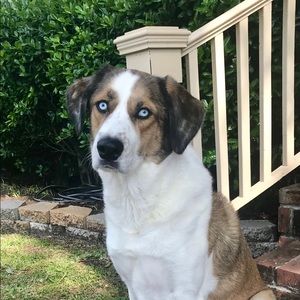 Meet your Posher, Ben